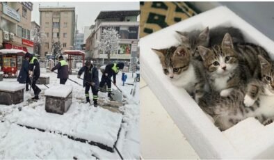 Belediye emekçileri yoğun kar yağışına karşı seferber oldu