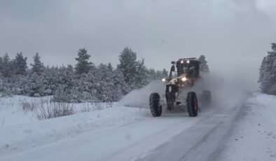 Yoğun kar ulaşımı etkiledi