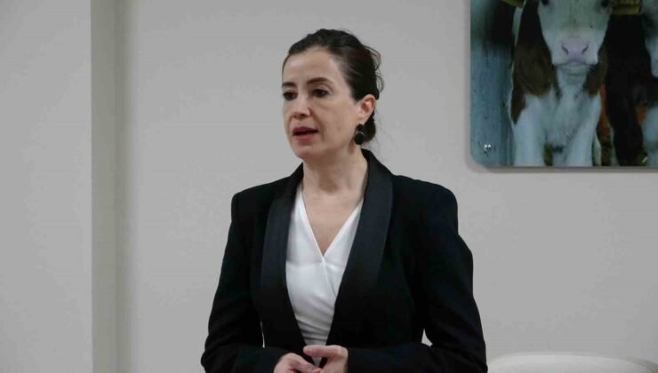 Kütahya’da 238 milyon TL’lik kırsal yatırım desteği