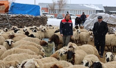 Arpaçay, Akçalar Köyü’nde yeni yılın ilk doğumları başladı