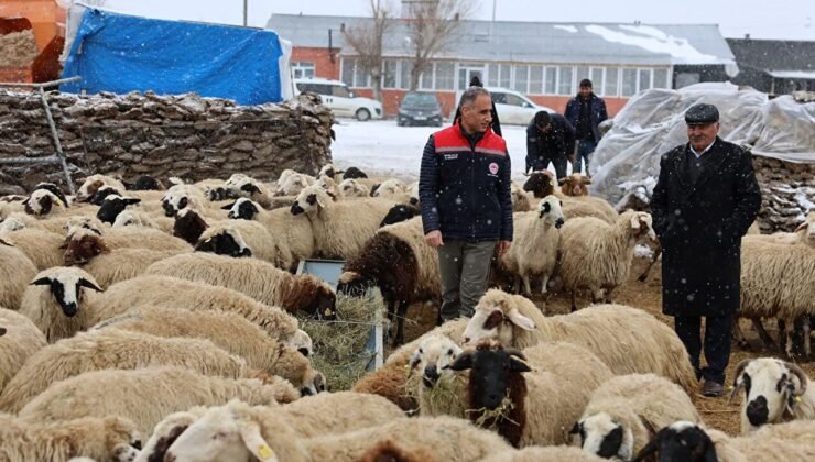 Arpaçay, Akçalar Köyü’nde yeni yılın ilk doğumları başladı