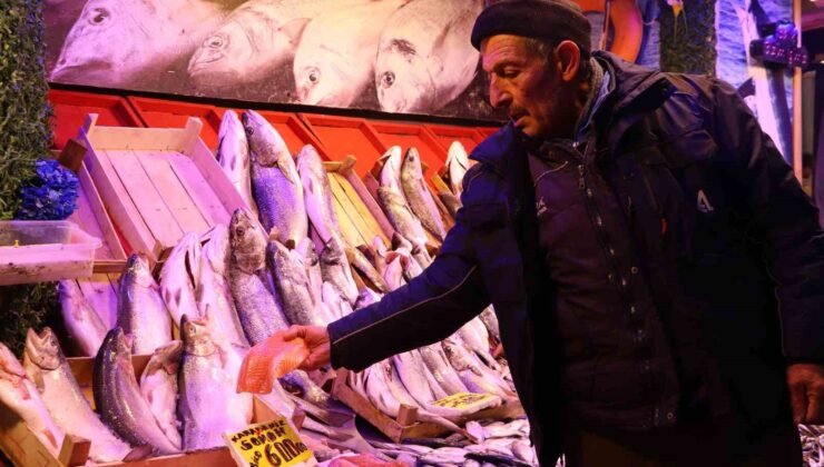 Soğuk havalar, balık tezgahlarını da vurdu