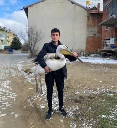 Sokakta gezerken pelikan buldu