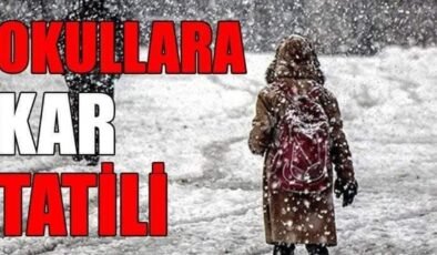 Kars'ta eğitime kar engeli: okullar tatil edildi!