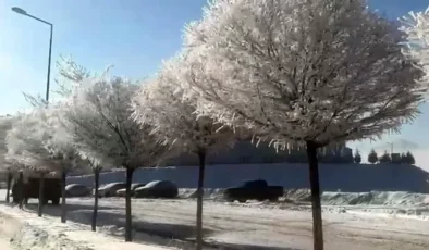 Tufanbeyli'de eksi 15 derecede kartpostallık manzara oluştu