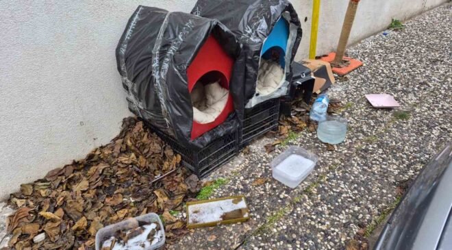 Vatandaşlardan sokak hayvanları için örnek davranış