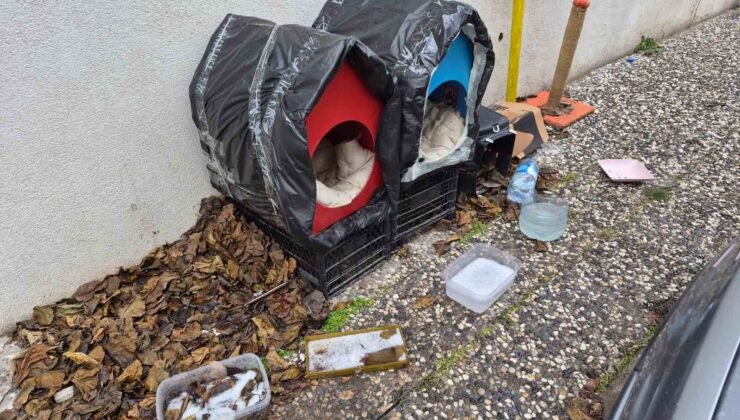 Vatandaşlardan sokak hayvanları için örnek davranış