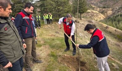 Afyonkarahisar’da 2 bin kestane fidanı toprakla buluşturuldu