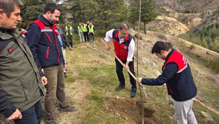 Afyonkarahisar’da 2 bin kestane fidanı toprakla buluşturuldu