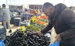 Antalya’daki olumsuz hava şartları patlıcanın tadını kaçırdı