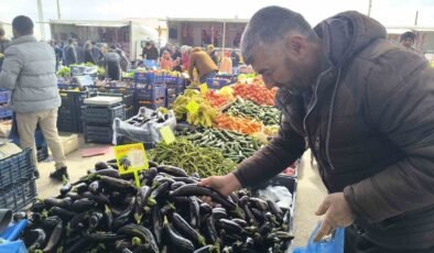 Antalya’daki olumsuz hava şartları patlıcanın tadını kaçırdı