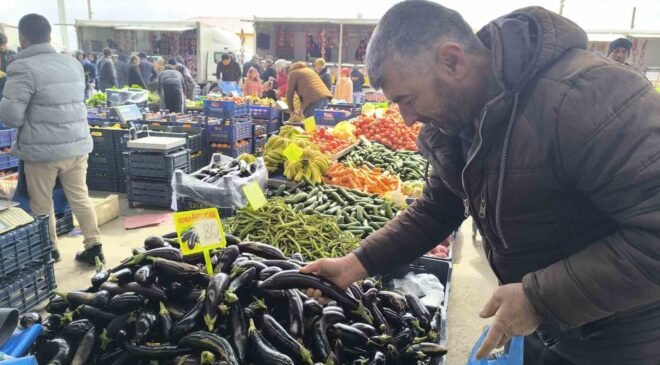 Antalya’daki olumsuz hava şartları patlıcanın tadını kaçırdı