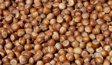 Doğu Karadeniz’in ocak ayı ihracatı 125,5 milyon doları geçti