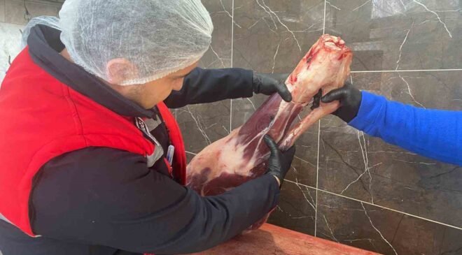 Gıda işletmelerine yönelik denetimler sürüyor