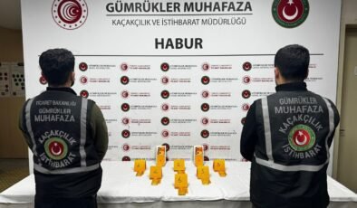Habur Gümrük Kapısı’nda 41 kilogram altın ele geçirildi
