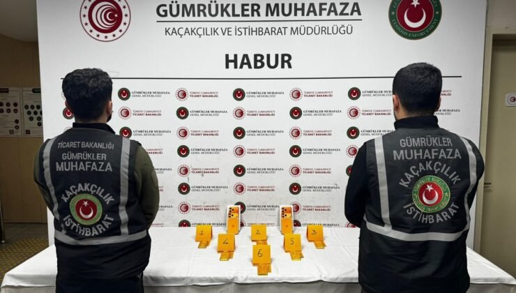 Habur Gümrük Kapısı’nda 41 kilogram altın ele geçirildi