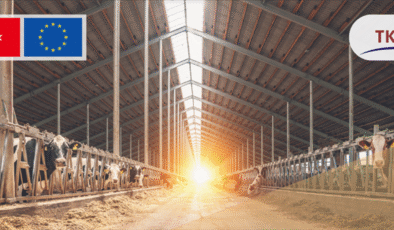 Tarımda, 214 projeye 1,7 milyar lira hibe verilecek