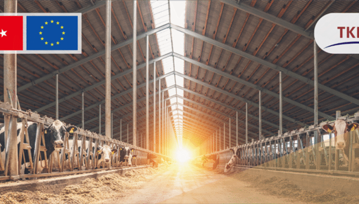 Tarımda, 214 projeye 1,7 milyar lira hibe verilecek