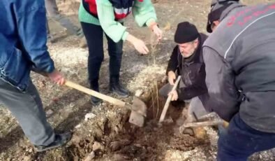 Kütahya’da ’Tuz Çalısı Projesi’ hayata geçirildi