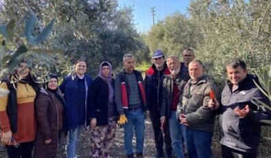 Antalya Serik’te meyve budama ve terbiye kursu verildi