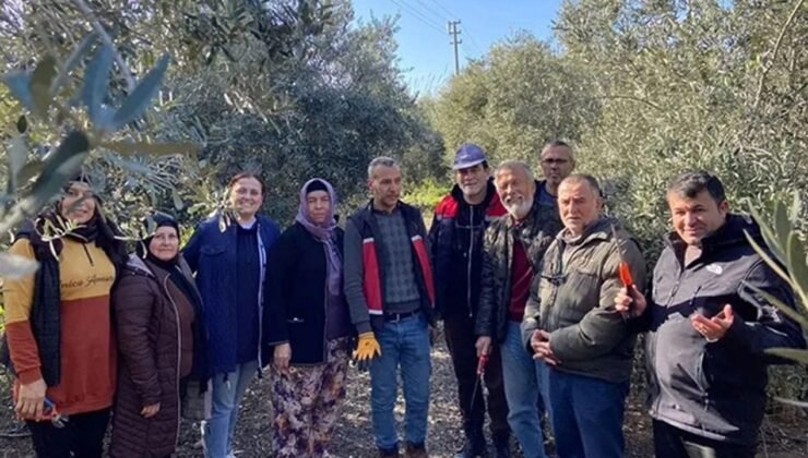 Antalya Serik’te meyve budama ve terbiye kursu verildi