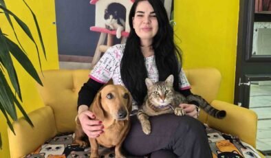 Veteriner kliniğindeki kedi ve köpek arasındaki ilginç dostluk