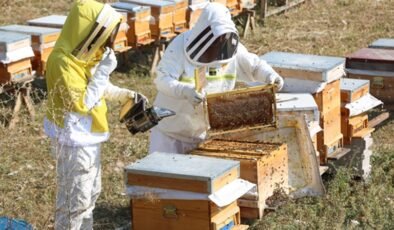 Arıköy’de üretime açılan kapı: Odunpazarı’nda arıcılık eğitimleri başladı