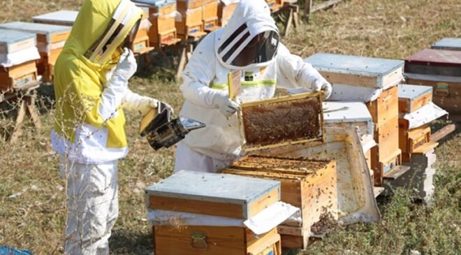 Arıköy’de üretime açılan kapı: Odunpazarı’nda arıcılık eğitimleri başladı
