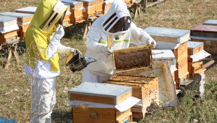Arıköy’de üretime açılan kapı: Odunpazarı’nda arıcılık eğitimleri başladı