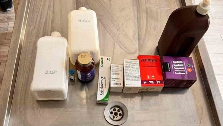 Açlıktan birbirini yiyen köpeklerin bakıldığı barınakta birçok ilacın tarihinin geçtiği belirlendi