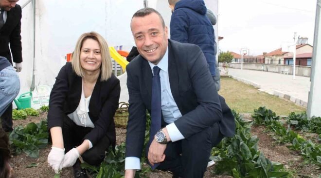 Altıntaş Zafer İlkokulu Tarım Atölyesinin ilk hasadı ıspanak oldu