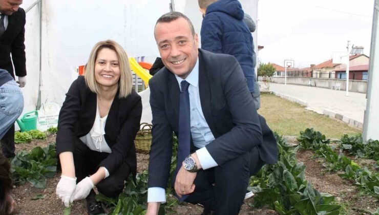 Altıntaş Zafer İlkokulu Tarım Atölyesinin ilk hasadı ıspanak oldu