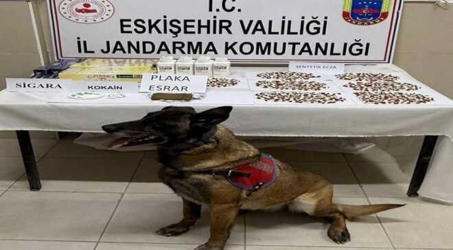 Belçika’dan gelen uyuşturucuyu Afyonkarahisar’a götüren zehir tacirleri Eskişehir’de yakalandı