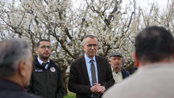 Bilecik’te budama kursu düzenlendi