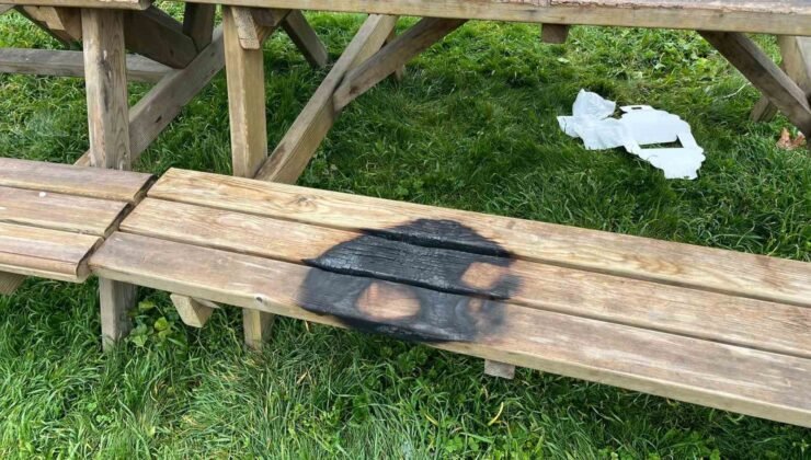 Bilecik’te kamu alanlarına verilen zarara tepki