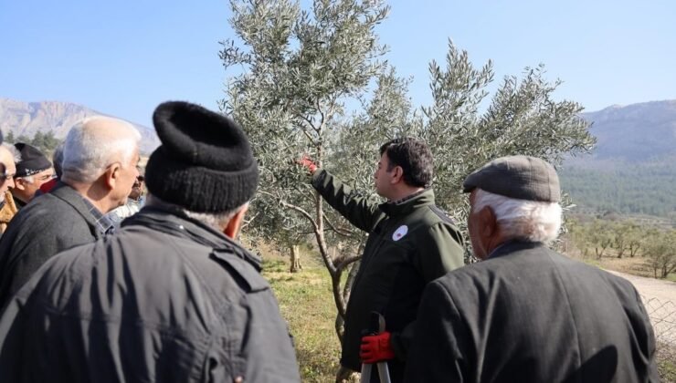 Bilecik’te üreticilere uygulamalı eğitim