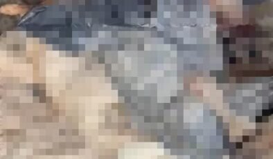 Bozüyük’teki barınak skandalına bir yenisi daha eklendi