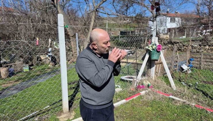 Çocukluğundan bu yana güvercin tutkunu olan adam: “Bir ev parasına kuş veren var”