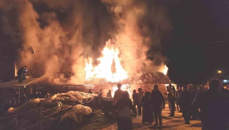 Hisarcık’ta samanlık yangını korkuttu