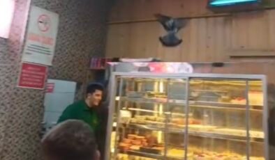 İftarda lokantaya giren güvercin ortalığı karıştırdı