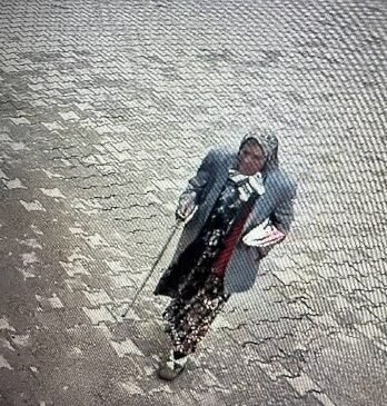 Kayıp olarak aranan 84 yaşındaki kadının cesedi bulundu