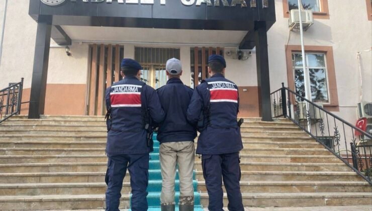 Kendisine saldıran köpeklerin sahibini vuran 17 yaşındaki şüpheli tutuklandı