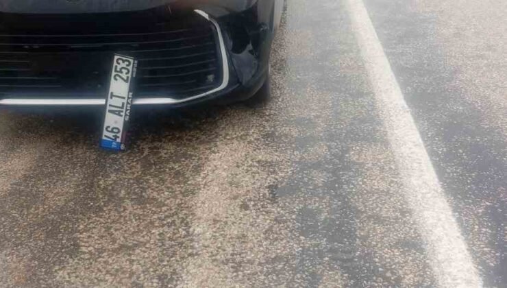 Köpeğe çarpan araç kaza yaptı: maddi hasar oluştu