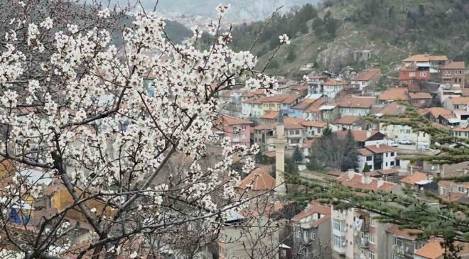 Kütahya’da badem ağaçları çiçek açtı