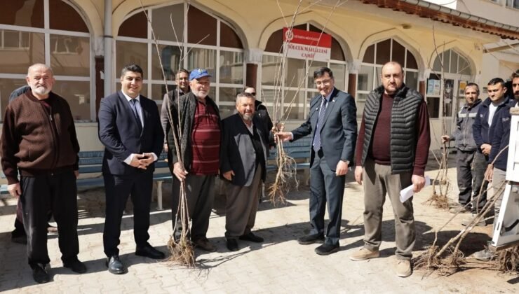 Kütahya’da yerel kiraz türleri yeniden toprakla buluşuyor