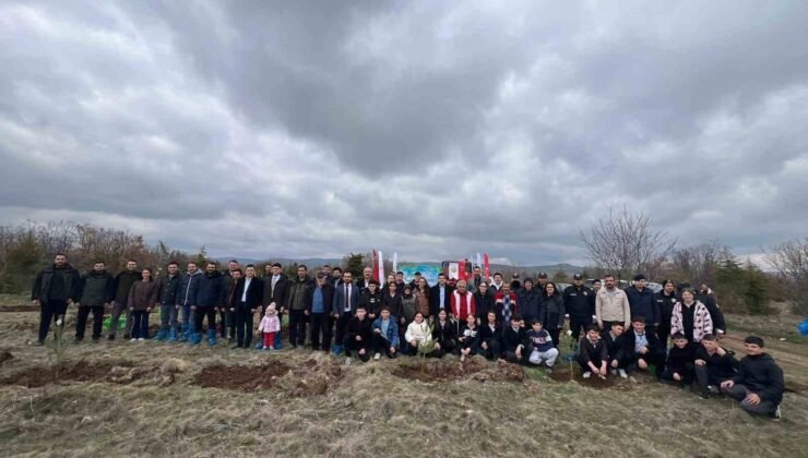 Mihalıççık’ta 100 fidan toprakla buluştu