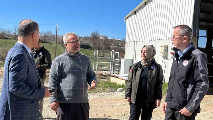 Müdür Ayvalık, üreticilerle tarım ve hayvancılığı inceledi