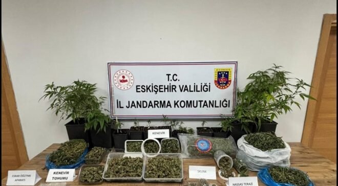 Ormanda uyuşturucu ticaretine jandarma engeli: 1 tutuklama