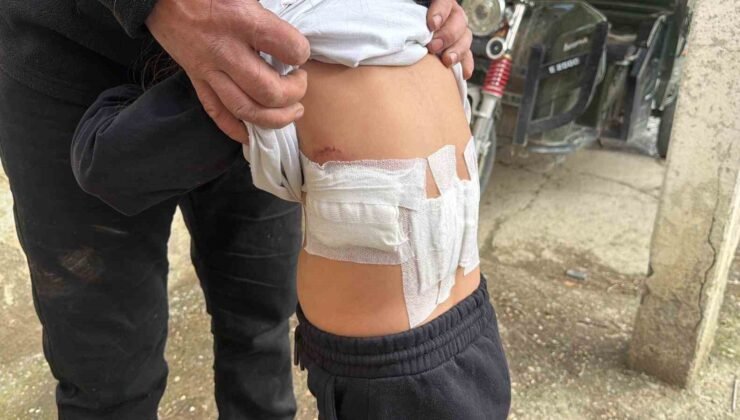 Saldırgan eşek evinin önünde oynayan 5 yaşındaki çocuğa kabusu yaşattı