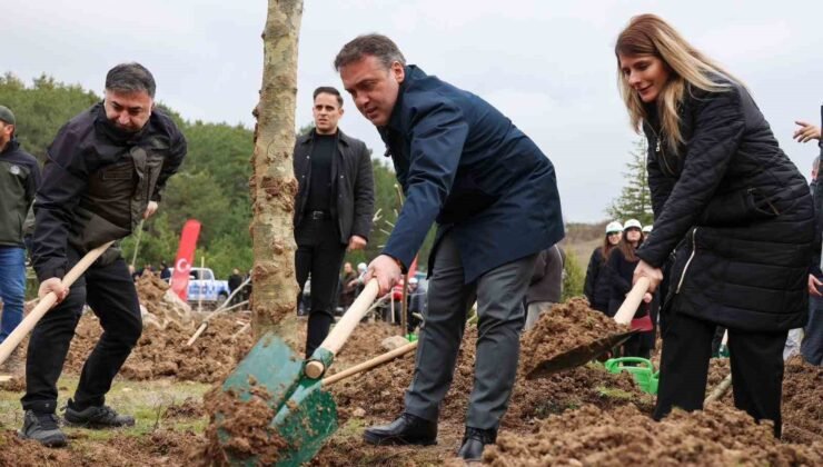 Şeyh Edebali’nin vefatının 700. yıl dönümünde 700 çınar toprakla buluştu